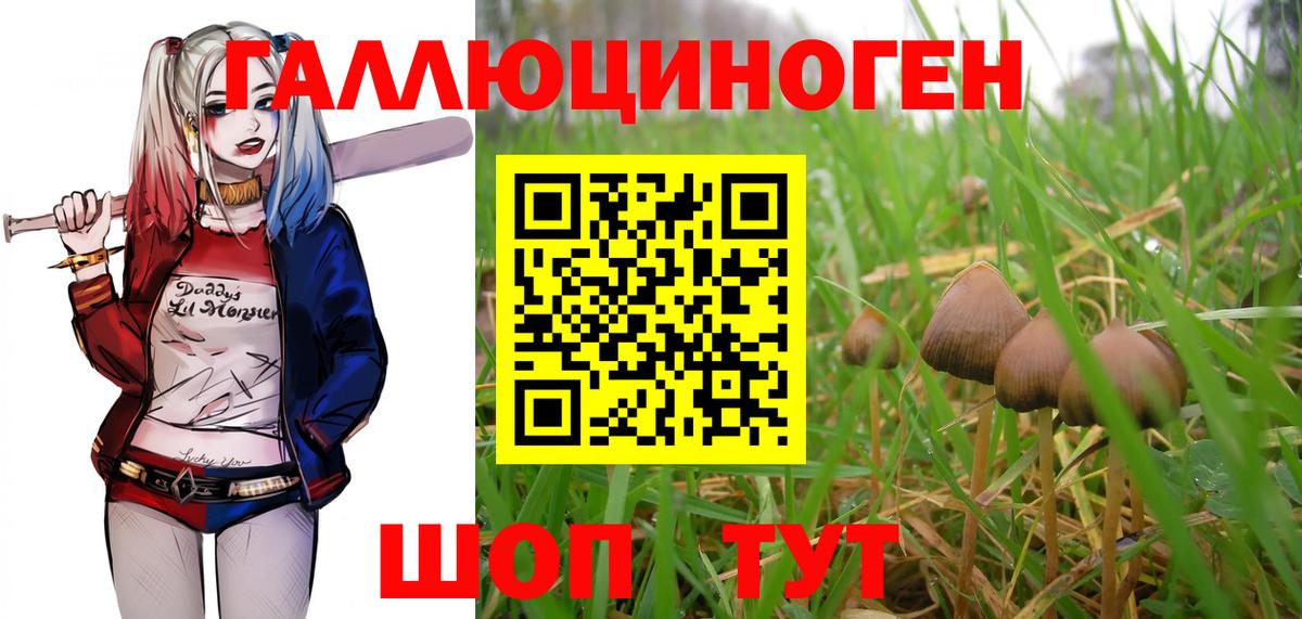 Псилоцибиновые грибы ЛСД  Вход с VPN  купить  цена  Чернушка 