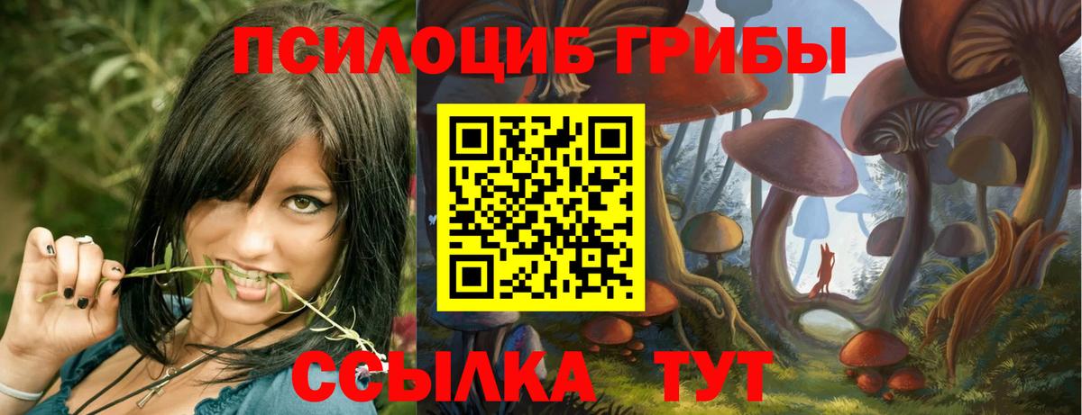 Псилоцибиновые грибы ЛСД Чернушка