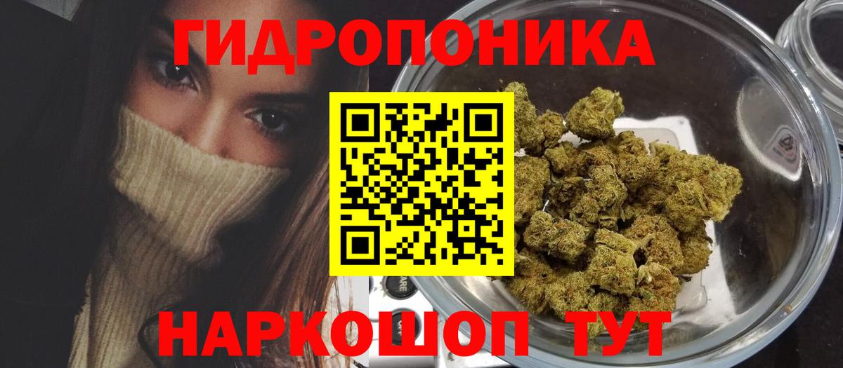 Канабис конопля Чернушка